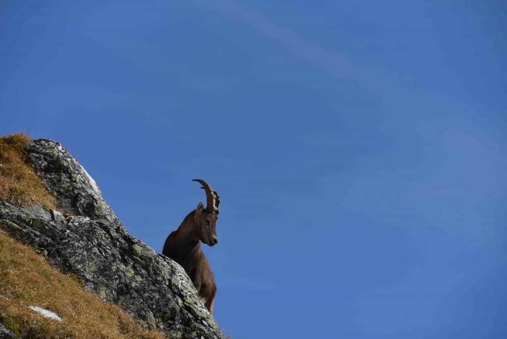 Parc national de la Vanoise
